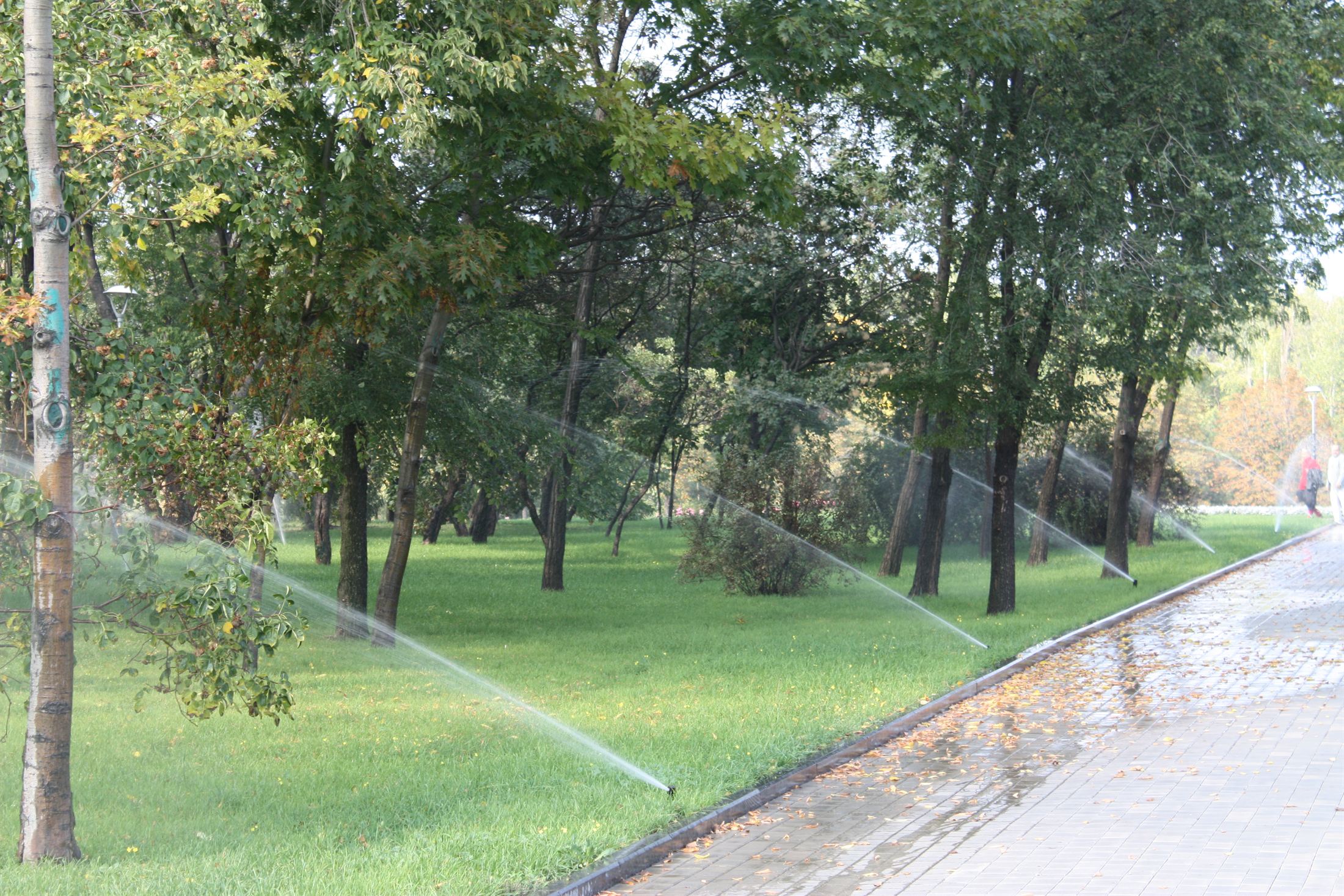 Парк Ленінського Комсомолу, фото 6